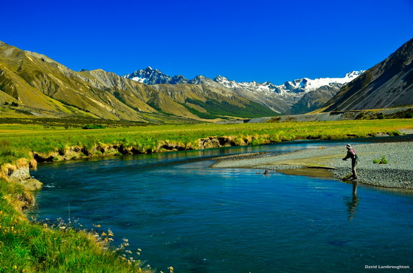 Clear rivers flowing from the Southern Alps create an ideal environment for trophy-sized wild trout..jpg