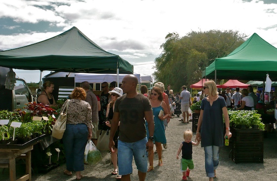 19-Clevedon-Farmers-Market.jpg