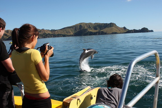 22-Dolphin-viewing-right-up-close.jpg.width.760.jpg